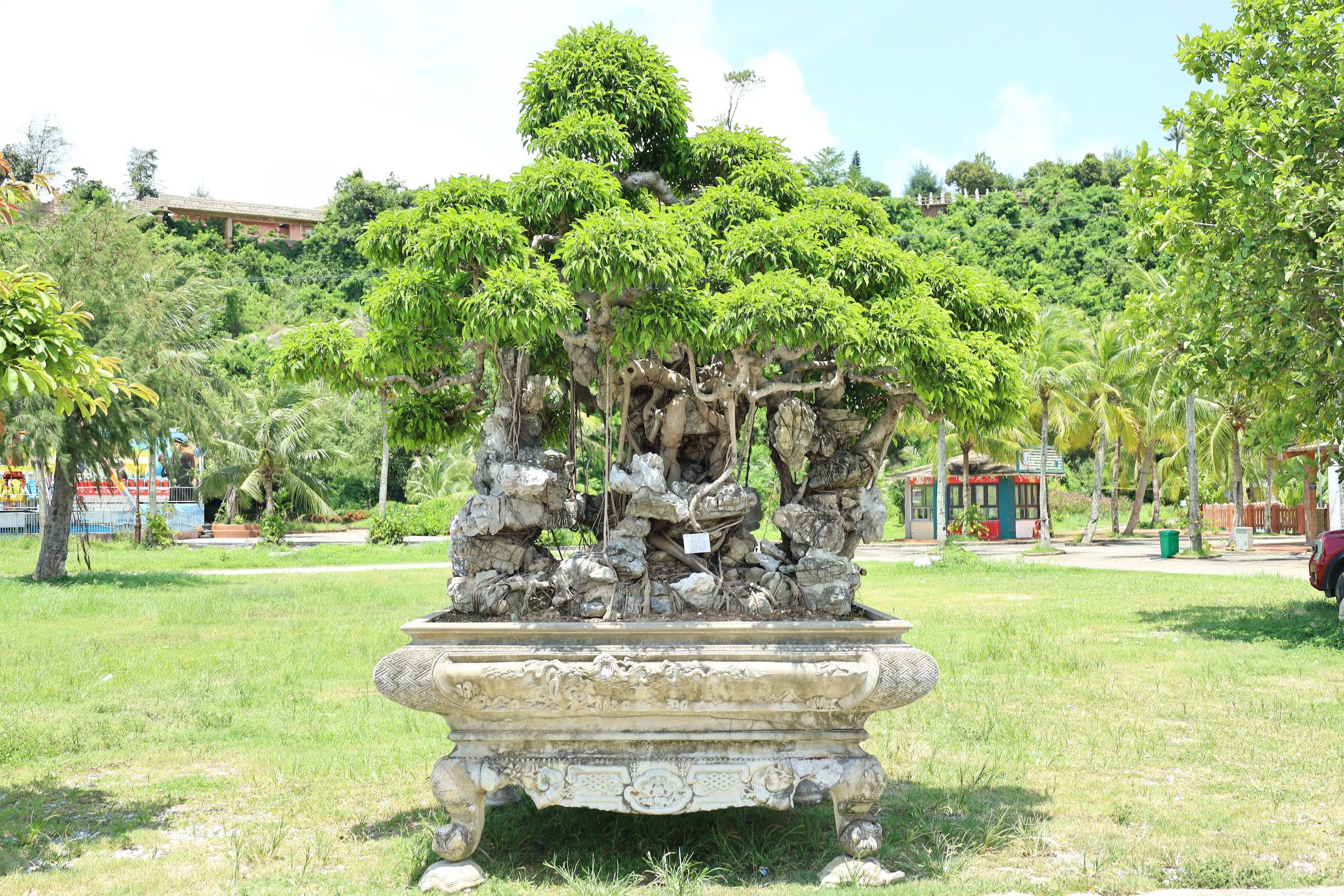 Sanh HH-0055