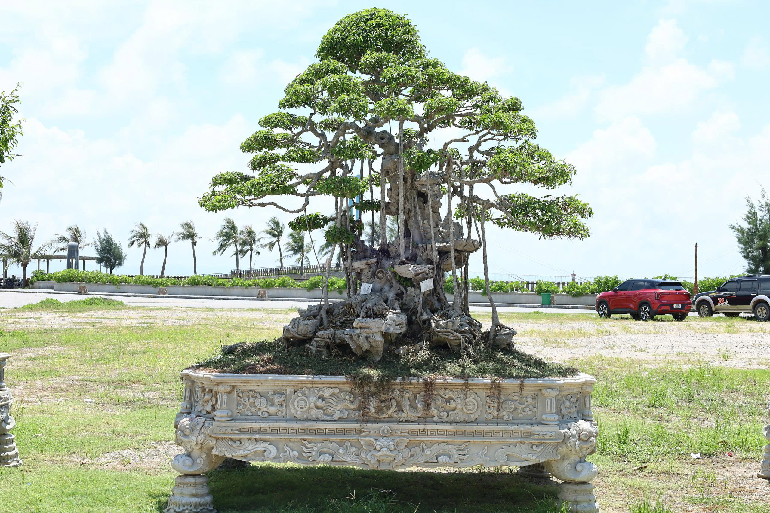 Sanh HH-0048