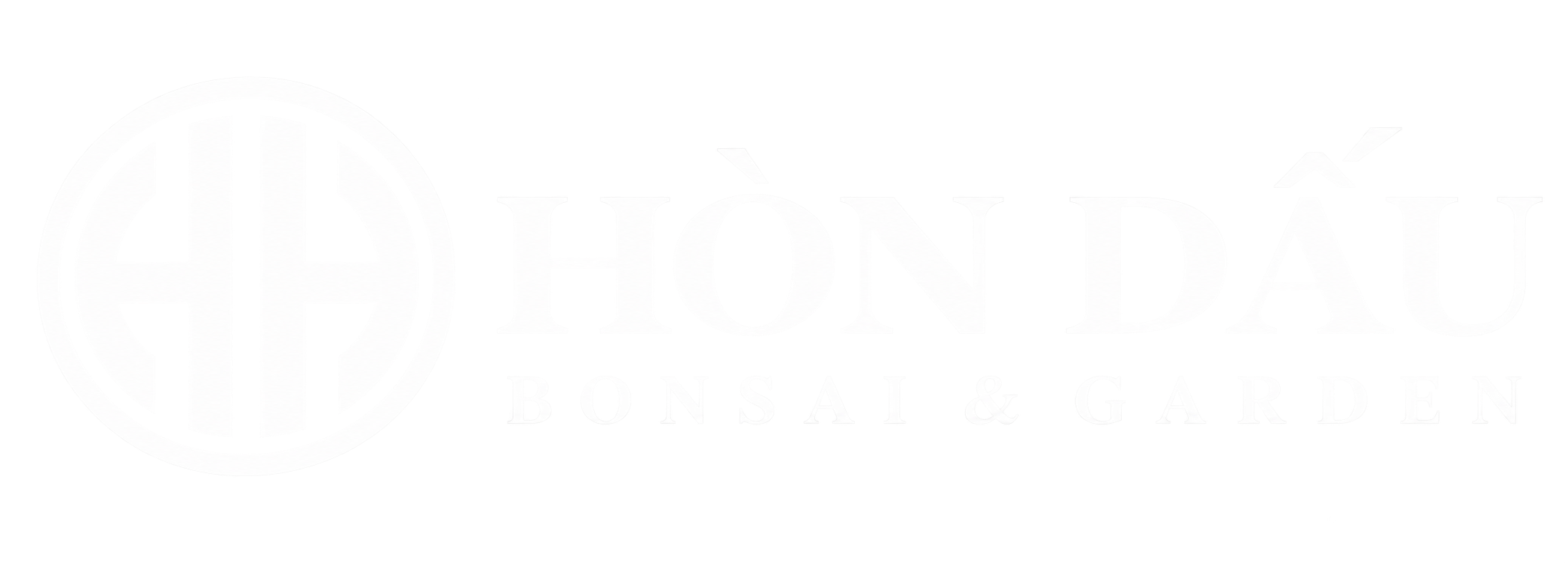 hoanghaibonsai
