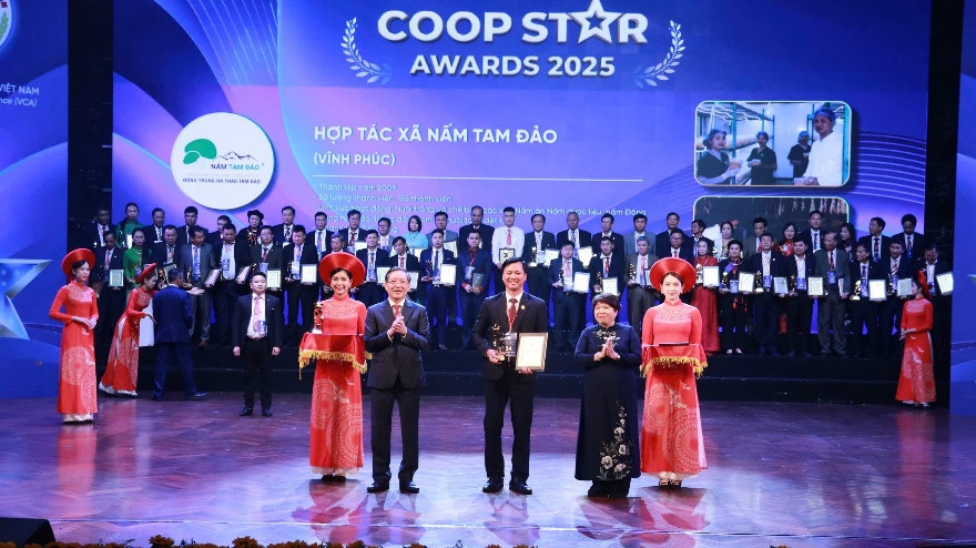 Từ công nghệ đến sinh kế bền vững: Câu chuyện của Hợp tác xã Nấm Tam Đảo