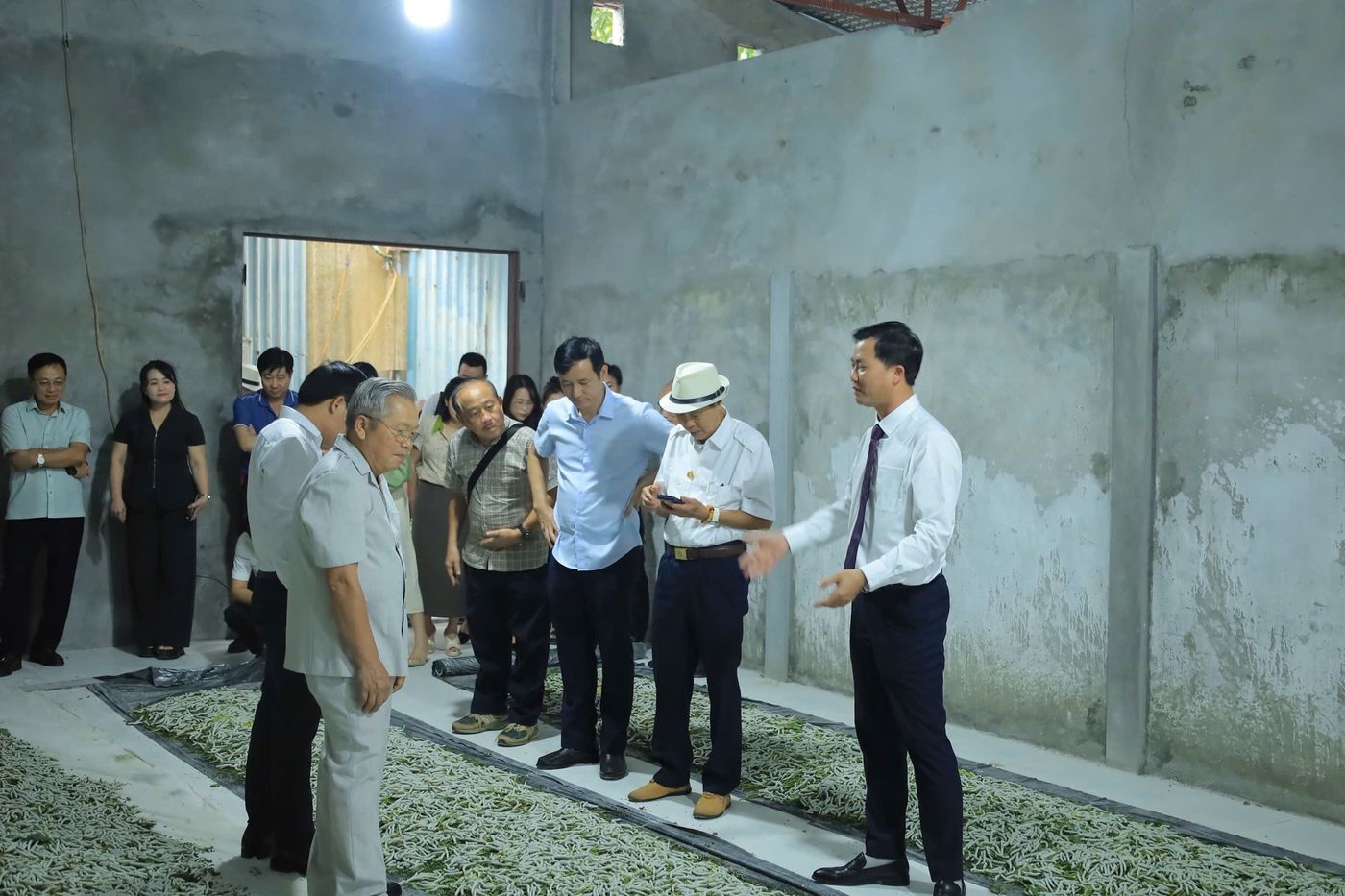 Trồng dâu, nuôi tằm