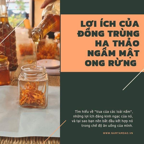 Lợi ích của Nâm Tam Đảo