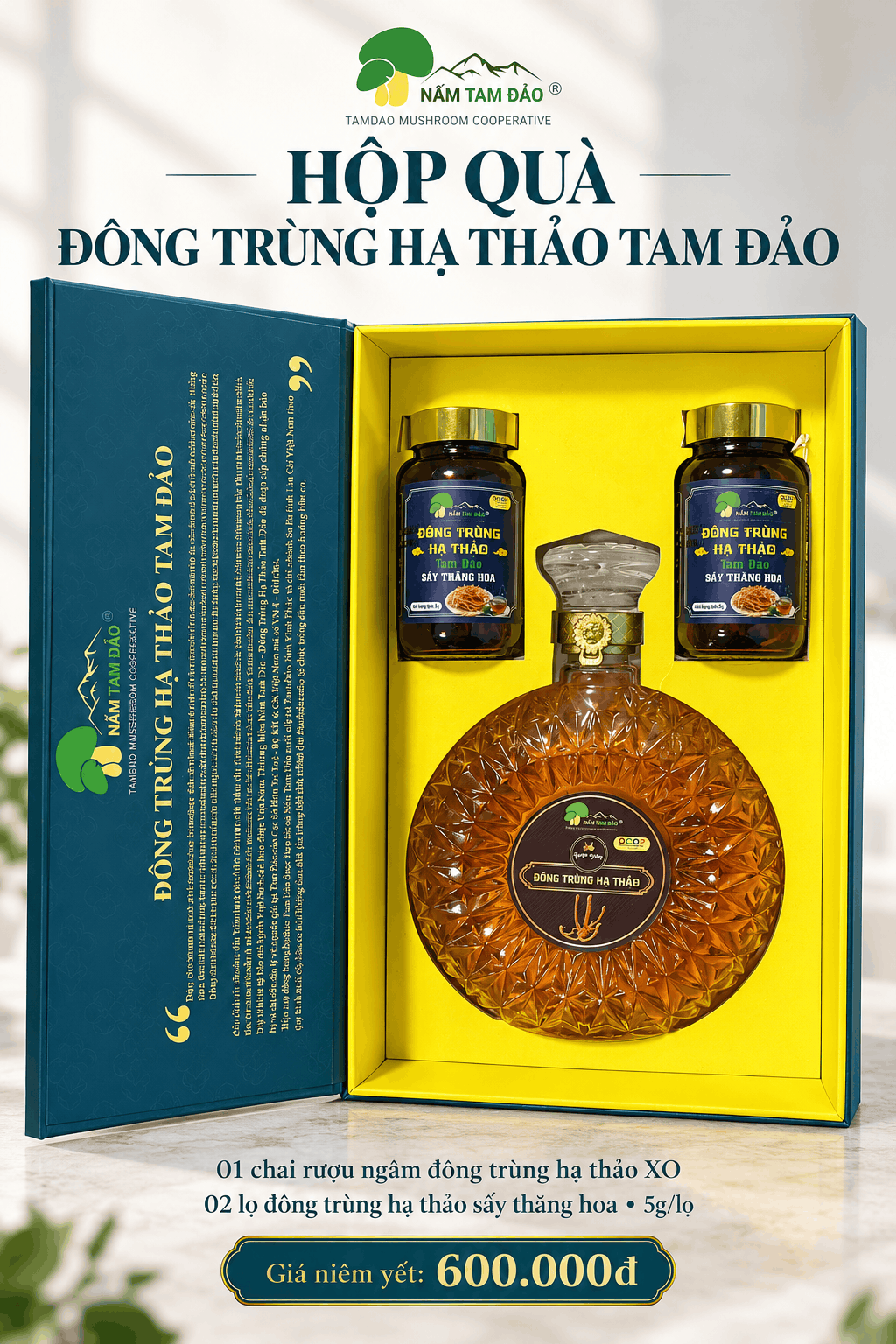 Hộp quà Đông trùng hạ thảo Tam Đảo – Rượu XO và 2 lọ sấy thăng hoa 5g