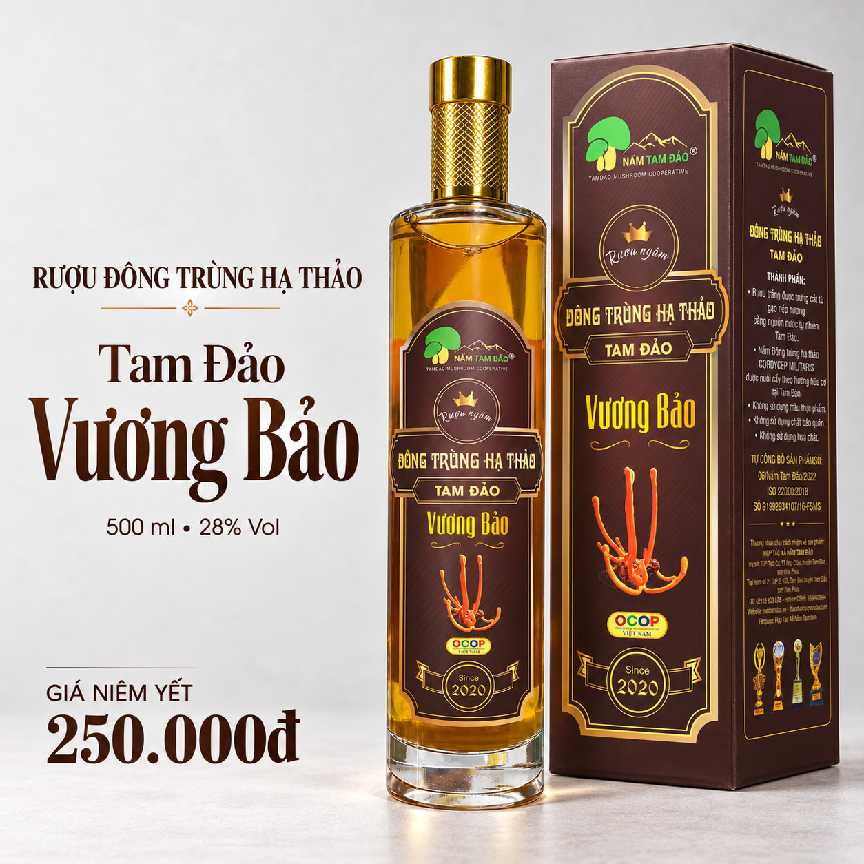Rượu đông trùng hạ thảo Tam Đảo Vương Bảo