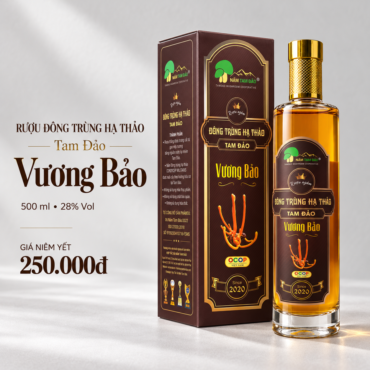 Rượu đông trùng hạ thảo Tam Đảo Vương Bảo