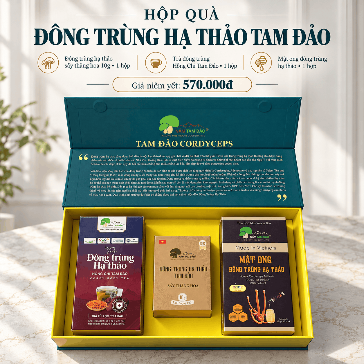 HỘP QUÀ ĐÔNG TRÙNG HẠ THẢO TAM ĐẢO – BỘ 3 SẢN PHẨM
