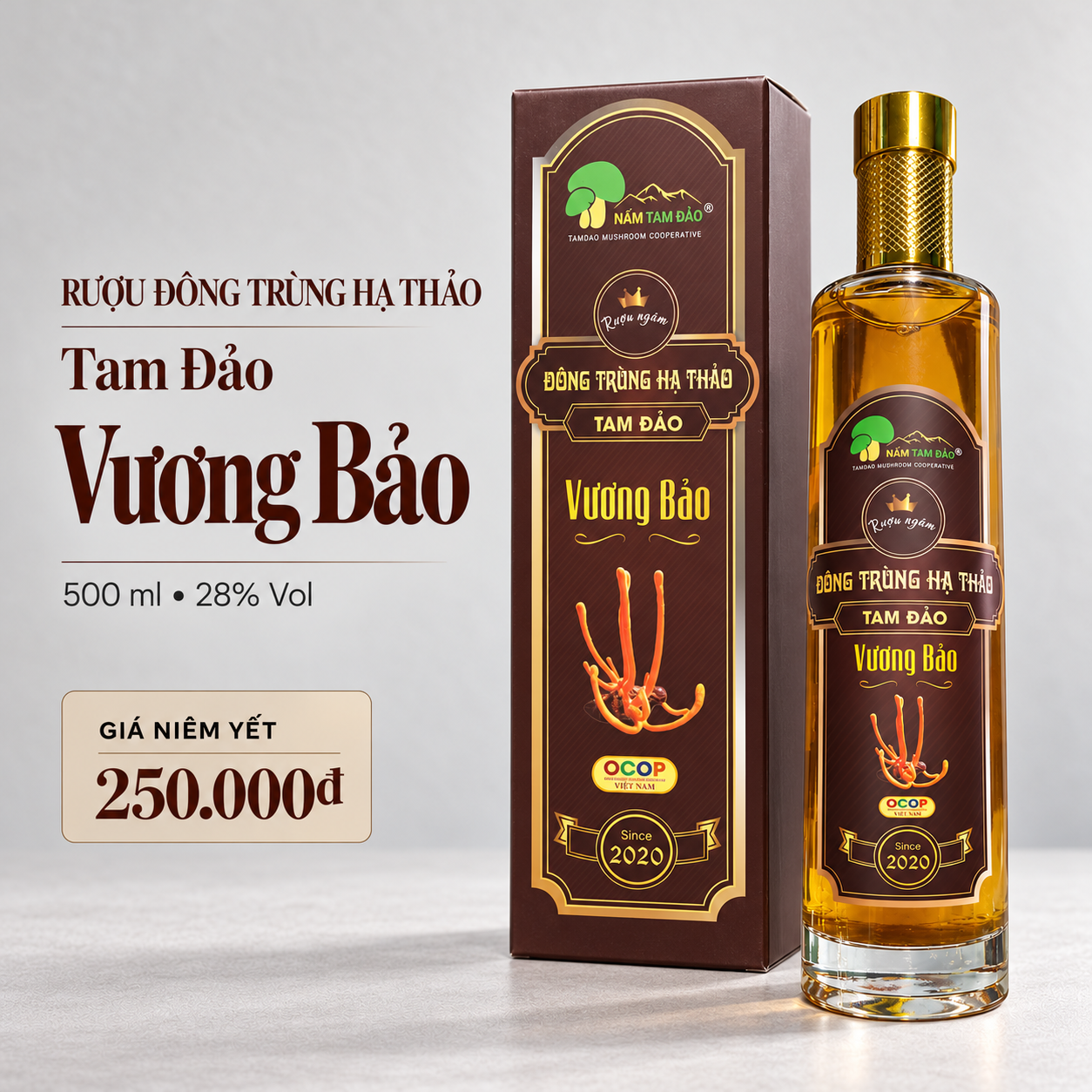 Rượu đông trùng hạ thảo Tam Đảo Vương Bảo