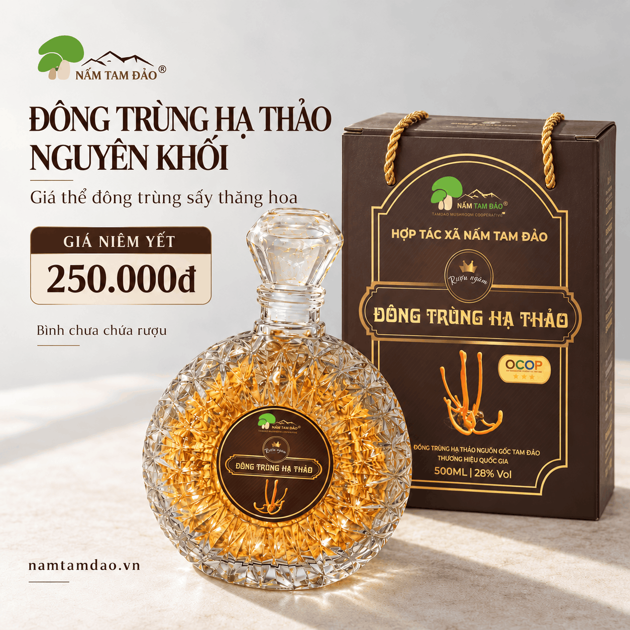 BÌNH ĐÔNG TRÙNG HẠ THẢO NGUYÊN KHỐI TAM ĐẢO
