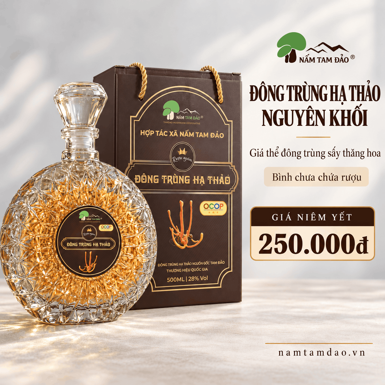 BÌNH ĐÔNG TRÙNG HẠ THẢO NGUYÊN KHỐI TAM ĐẢO