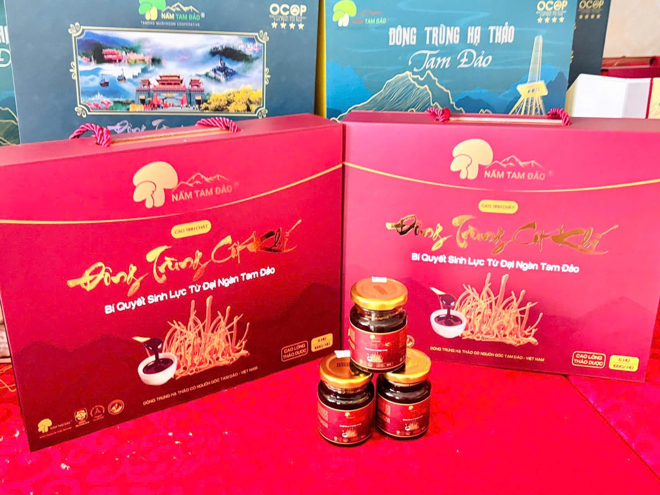 Cao lỏng Đông Trùng Cốt Khí (hộp 6 hũ x100gam) - Phú Thọ