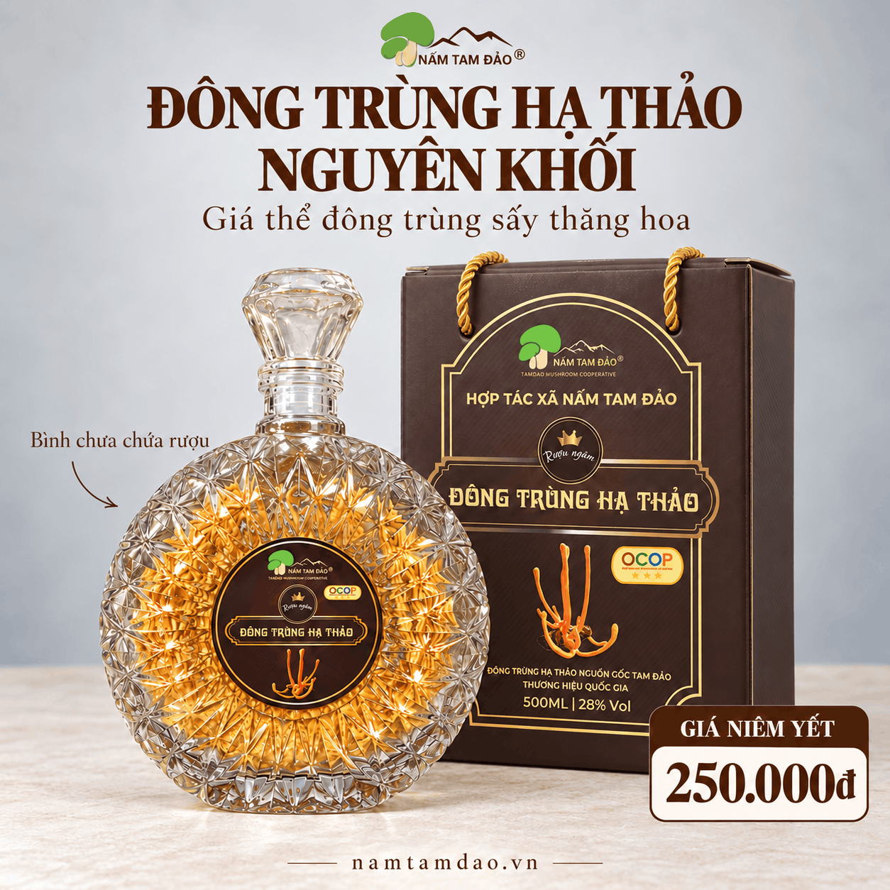 BÌNH ĐÔNG TRÙNG HẠ THẢO NGUYÊN KHỐI TAM ĐẢO