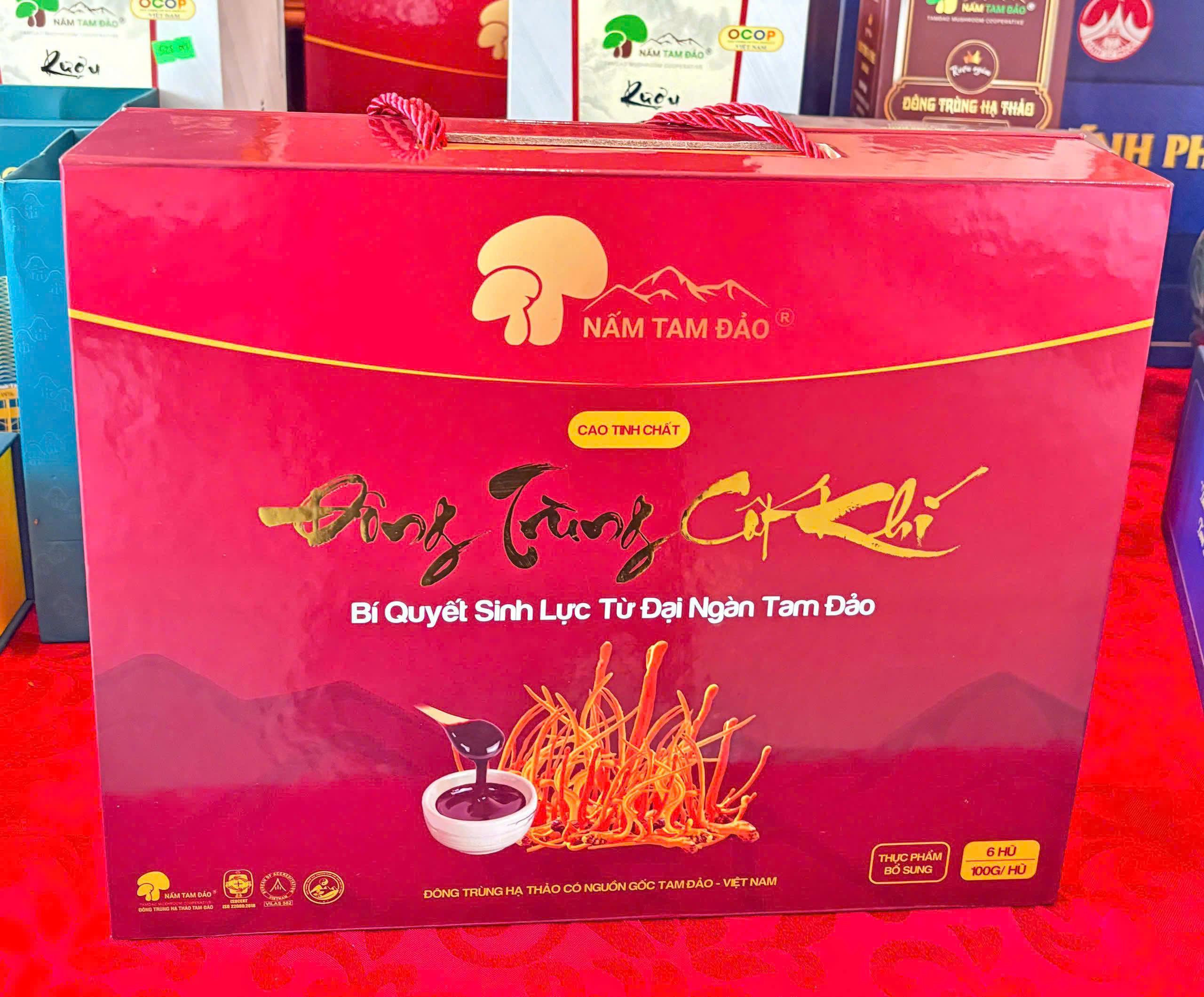 Cao lỏng Đông Trùng Cốt Khí (hộp 6 hũ x100gam) - Phú Thọ
