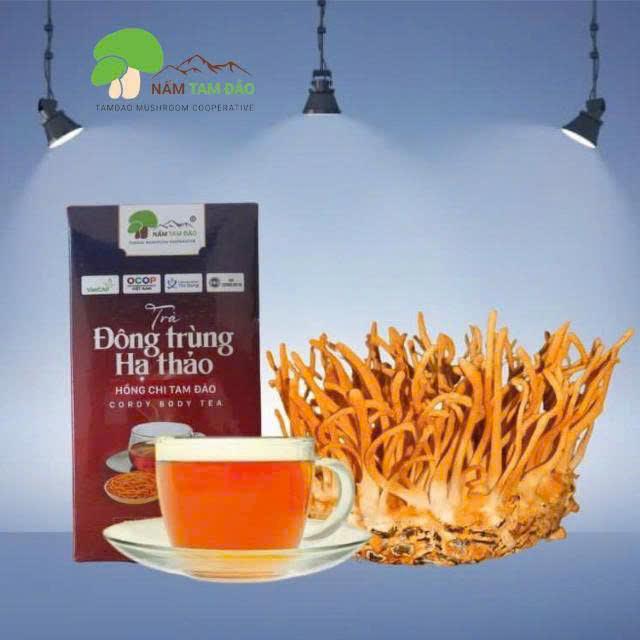 Trà Đông Trùng Hạ Thảo Hồng Chi Tam Đảo (Hộp 25 gói x 25gam) - Phú Thọ