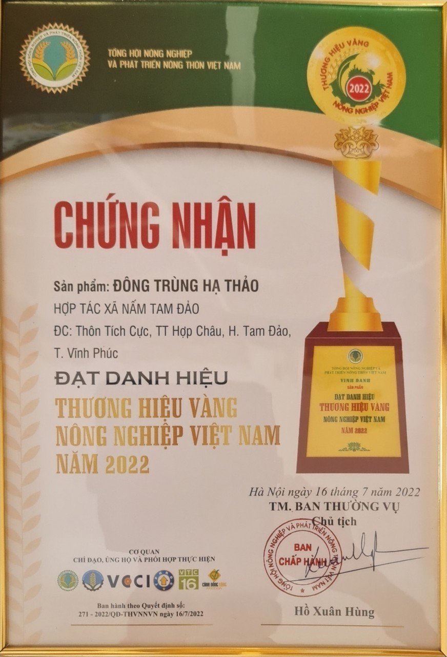 Hoàng Quân