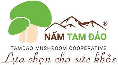 HTX Nấm Tam Đảo