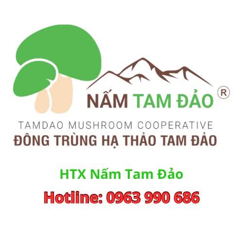 Sản phẩm xương khớp 