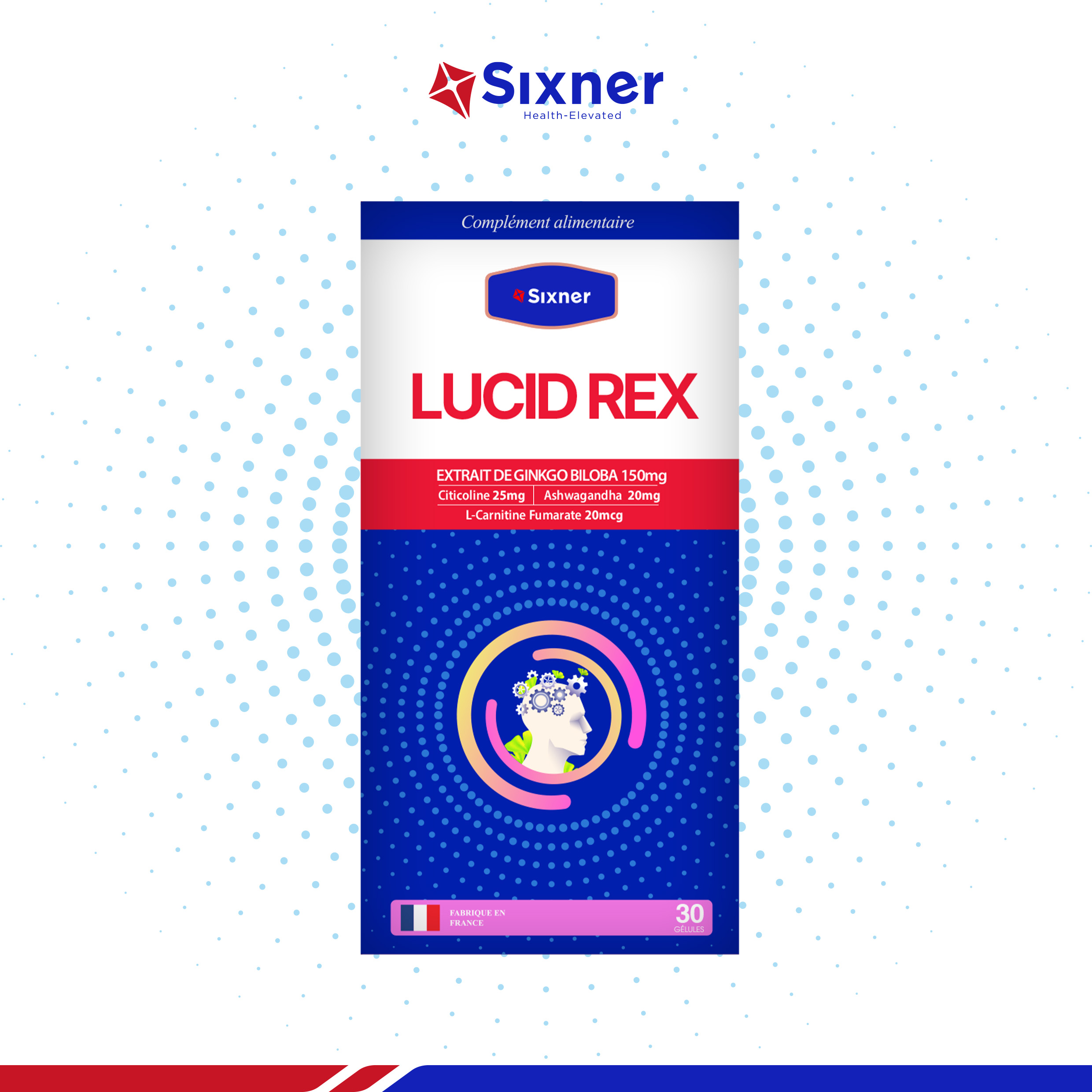 TPBVSK LUCID REX