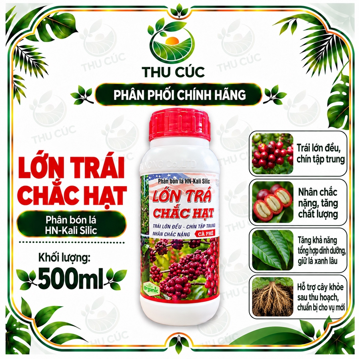 LỚN TRÁI CHẮC HẠT – PHÂN BÓN LÁ HN-KALI SILIC CHO CÀ PHÊ