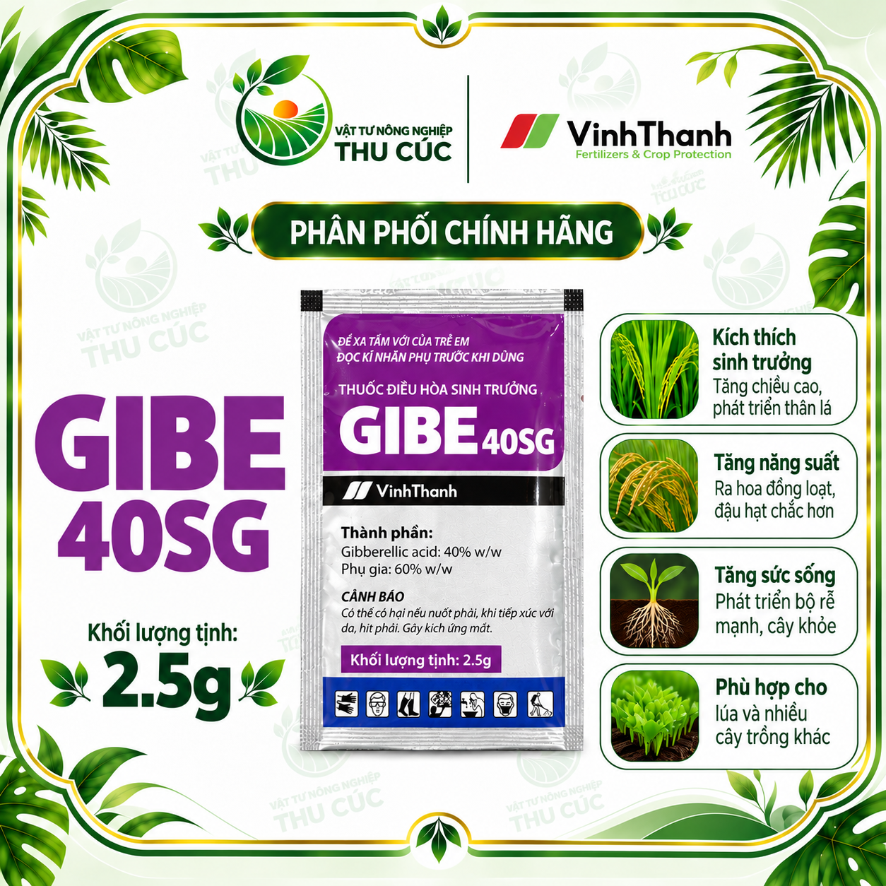 GIBE 40SG 2,5G – GIBBERELLIC ACID 40% ĐIỀU HÒA SINH TRƯỞNG CHO THANH LONG