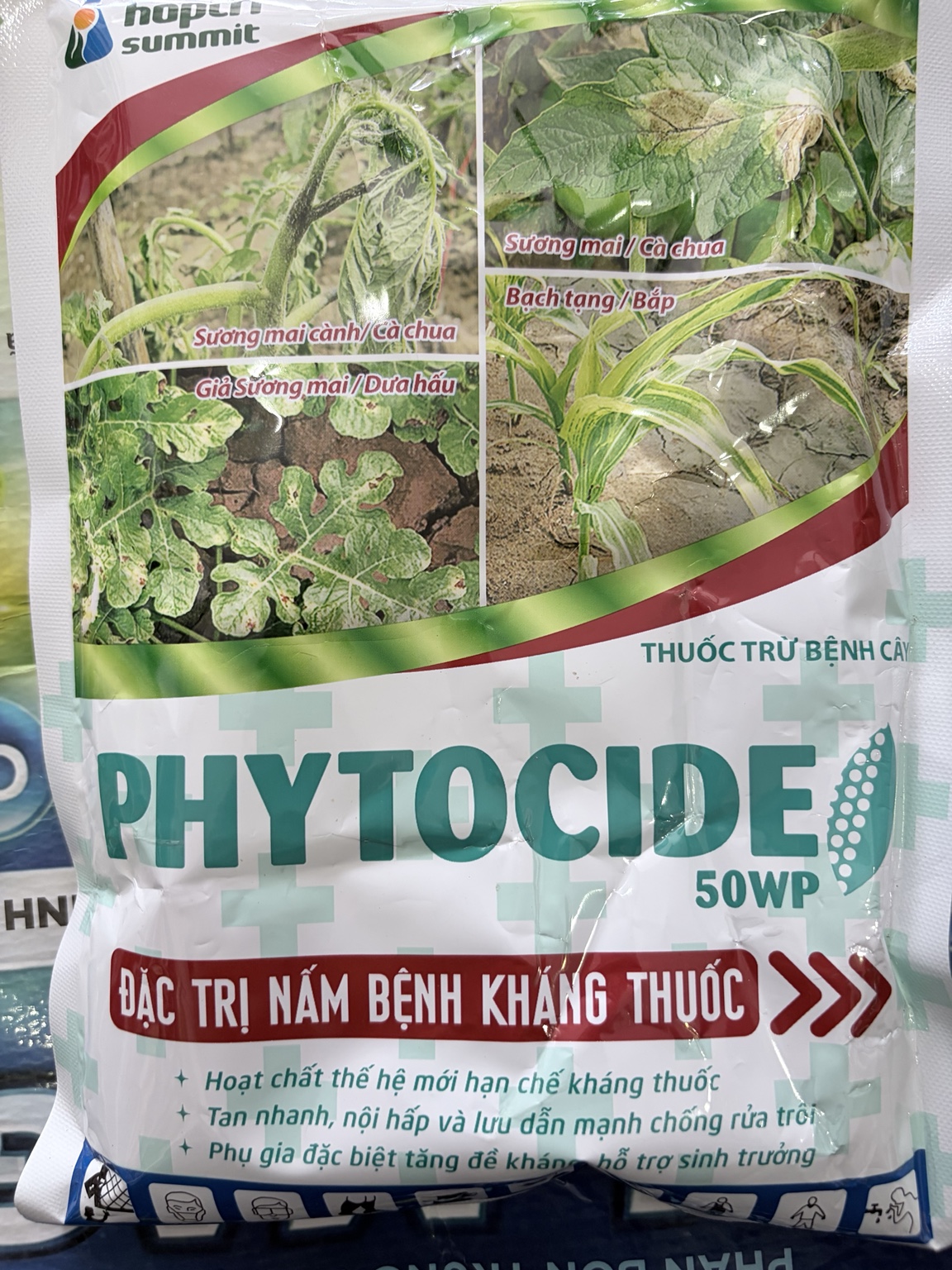 PHYTOCIDE 50WP – DIMETHOMORPH 50%, QUẢN LÝ PHYTOPHTHORA, SƯƠNG MAI VÀ BẠCH TẠNG