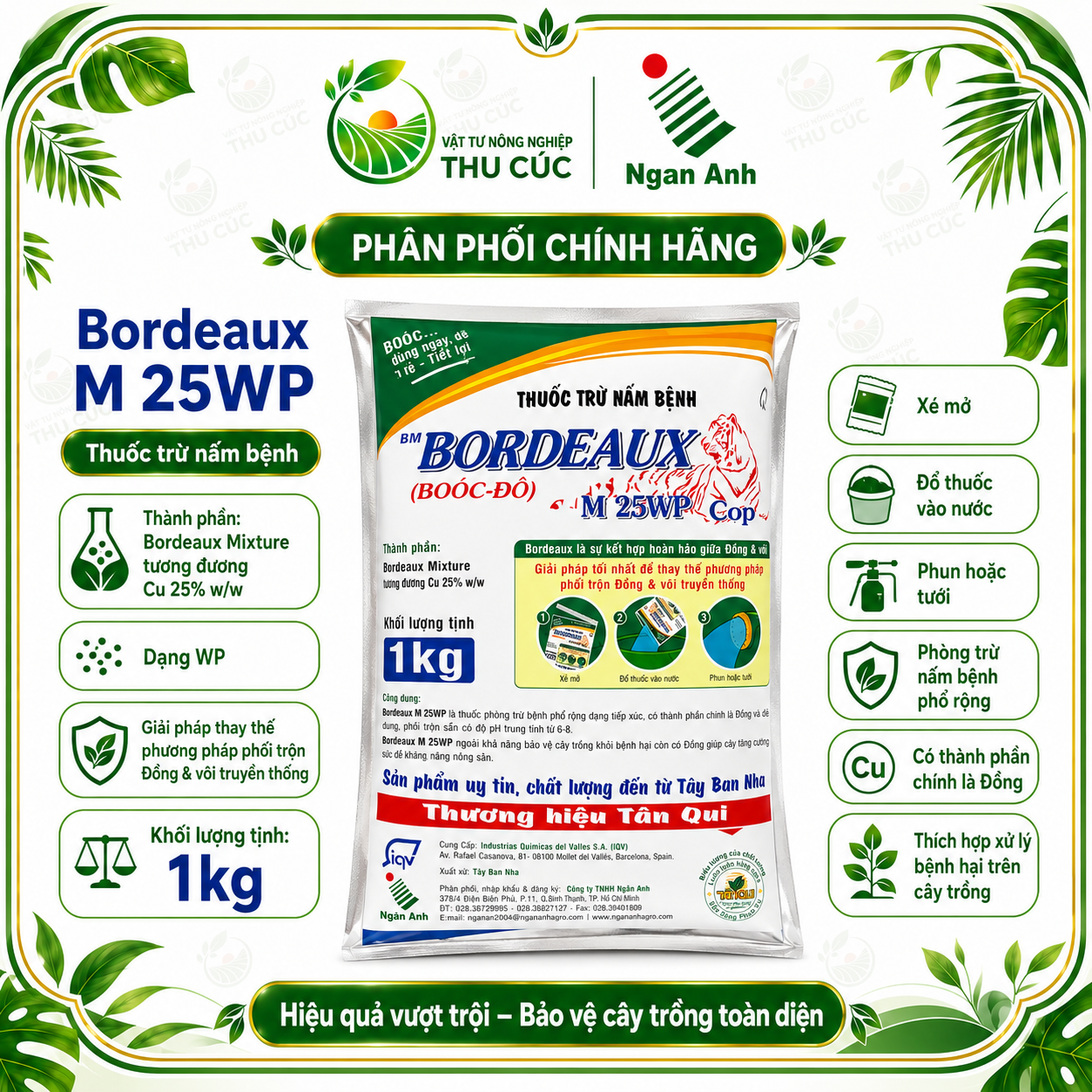 Bordeaux M25WP 1kg – Thuốc Boóc Đô Gốc Đồng Trừ Nấm Bệnh, Rỉ Sắt, Thán Thư