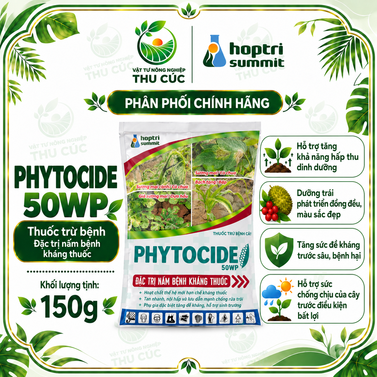 PHYTOCIDE 50WP – DIMETHOMORPH 50%, QUẢN LÝ PHYTOPHTHORA, SƯƠNG MAI VÀ BẠCH TẠNG