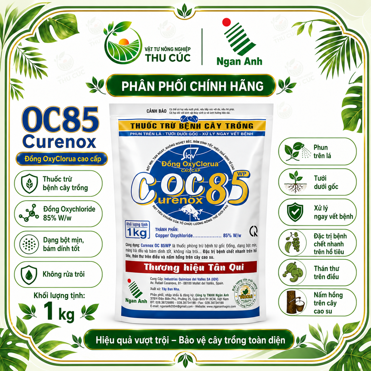COC 85 1kg – Thuốc Gốc Đồng Trừ Chết Nhanh Hồ Tiêu, Thán Thư, Nấm Hồng