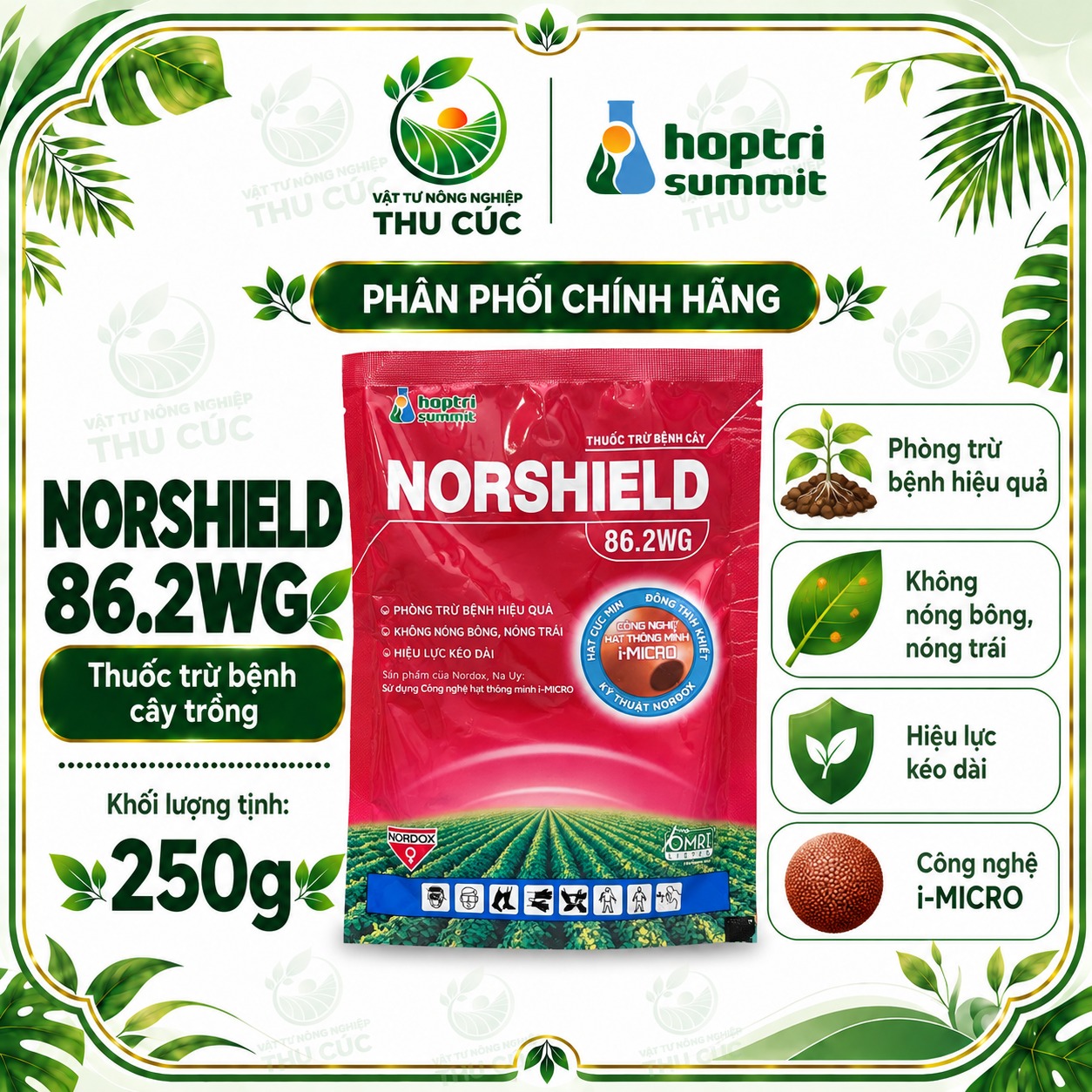 NORSHIELD 86.2WG – ĐỒNG TINH KHIẾT, HỖ TRỢ QUẢN LÝ RỈ SẮT CÀ PHÊ VÀ THÁN THƯ ĐIỀU