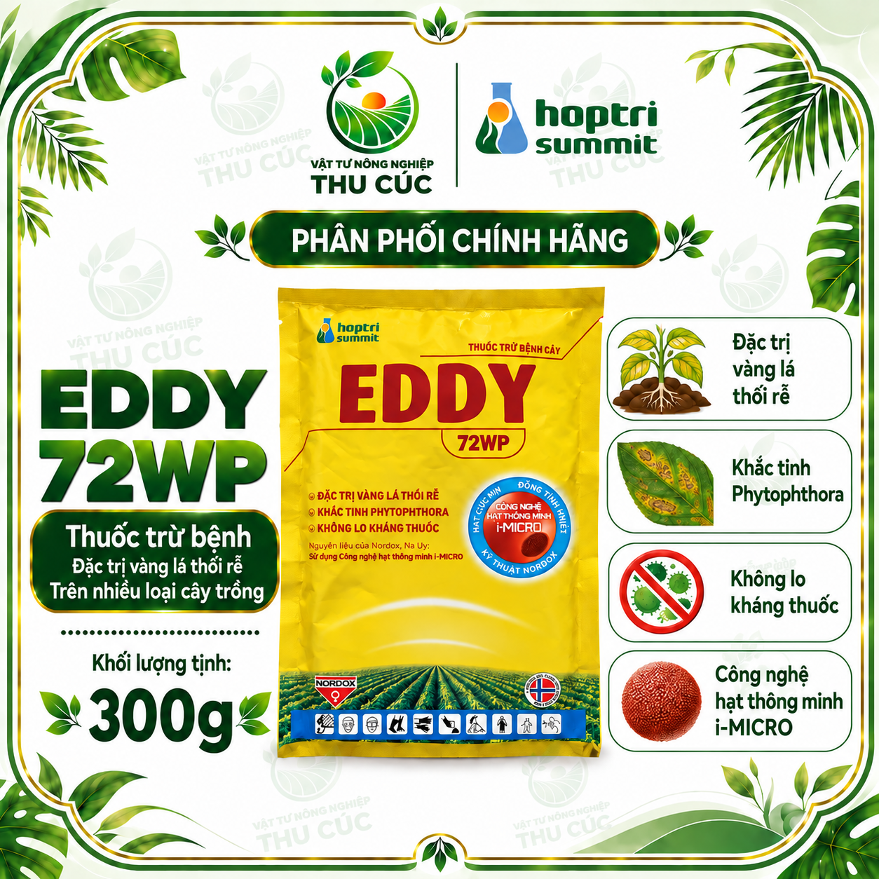 EDDY 72WP – HỖ TRỢ QUẢN LÝ PHYTOPHTHORA, VÀNG LÁ THỐI RỄ, CHẾT NHANH