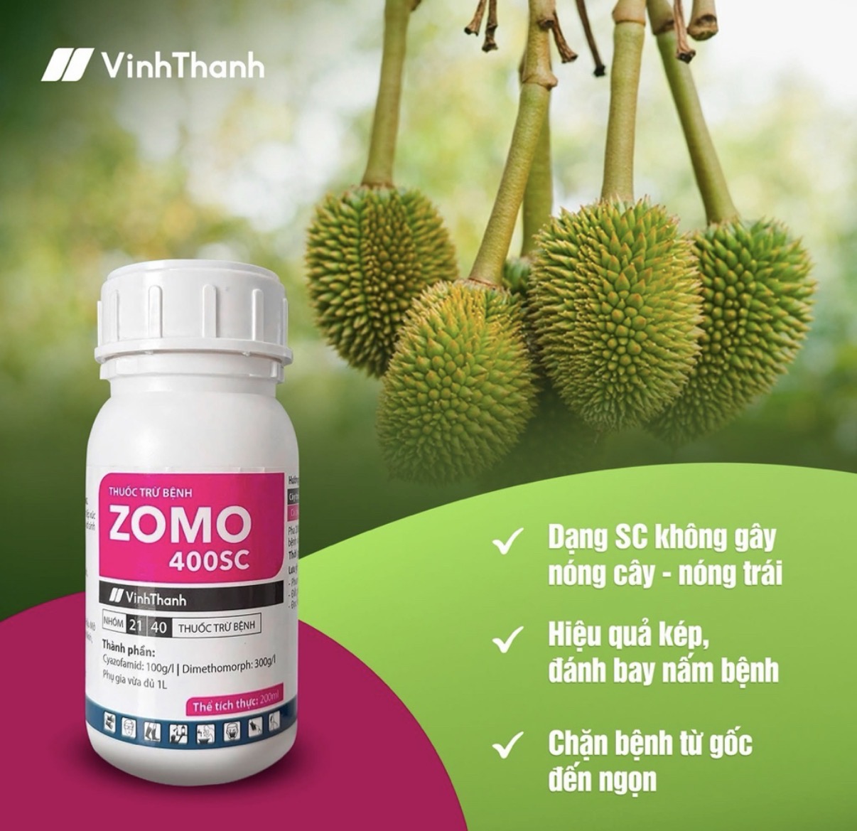ZOMO 400SC – GIẢI PHÁP QUẢN LÝ BỆNH SƯƠNG MAI, THỐI TRÁI, NỨT THÂN, XÌ MỦ HIỆU QUẢ