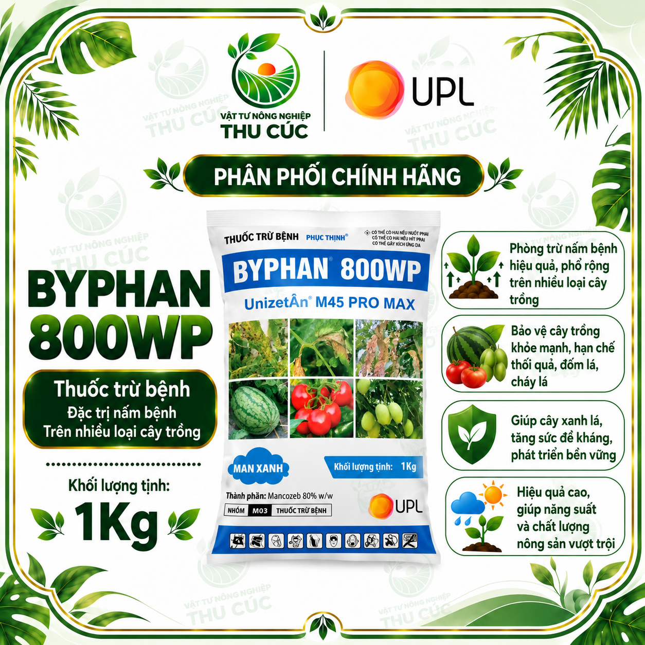 MAN XANH UPL – MANCOZEB 80% WP GÓI 1KG – THUỐC TRỪ BỆNH PHỔ RỘNG