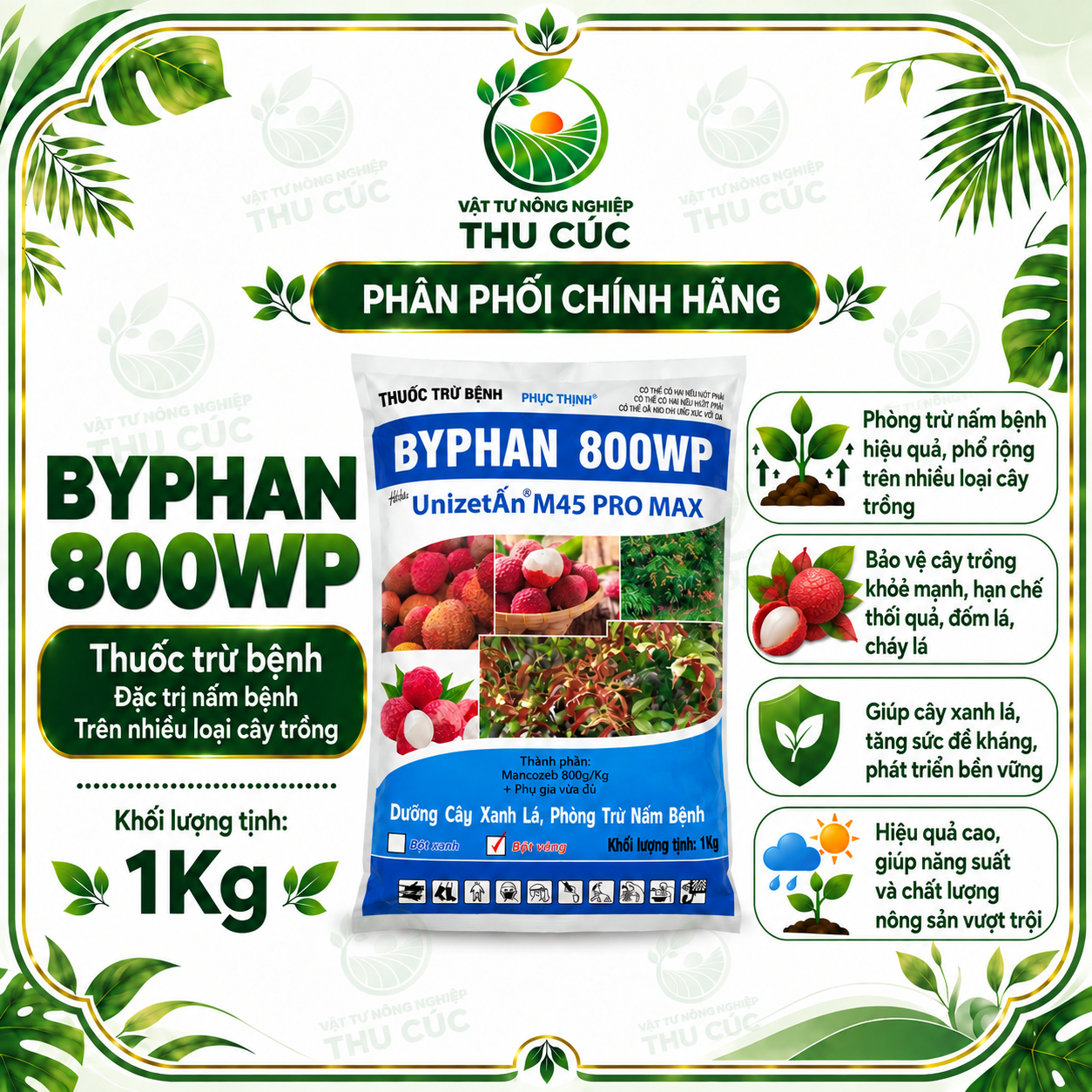 BYPHAN 800WP – MANCOZEB 800G/KG – PHÒNG NGỪA VÀ QUẢN LÝ NẤM BỆNH TRÊN CÂY TRỒNG