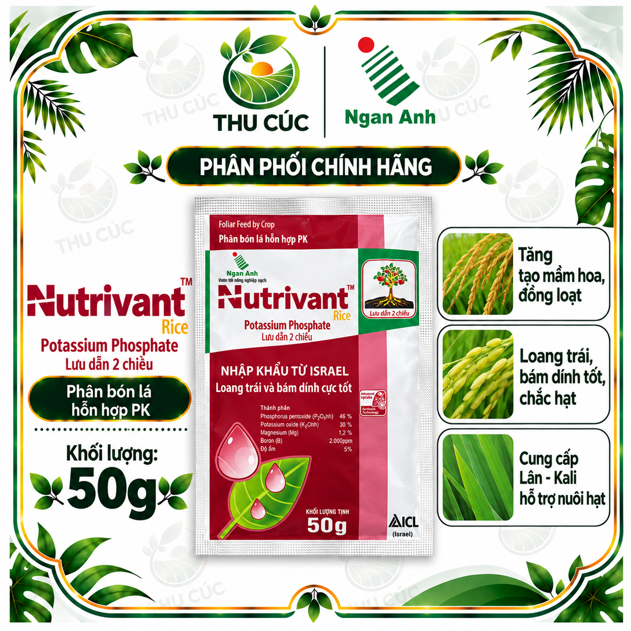 NUTRIVANT RICE 0-46-30 50G – PHÂN BÓN LÁ PK NHẬP KHẨU ISRAEL