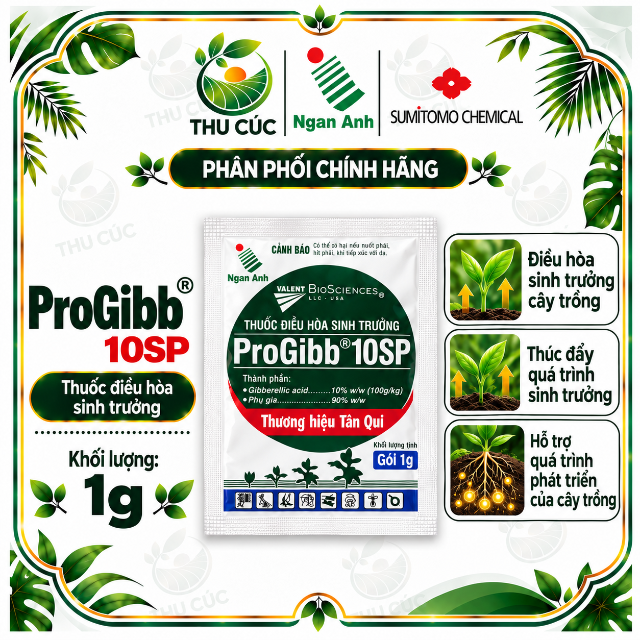 PROGIBB 10SP 1G – GIBBERELLIC ACID 10% ĐIỀU HÒA SINH TRƯỞNG CÂY TRỒNG