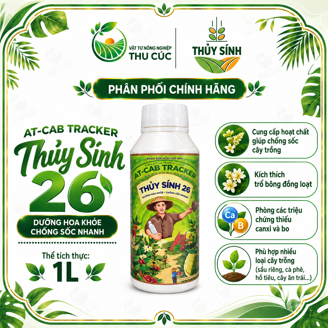 THỦY SÍNH 26 – CANXI BO, HỖ TRỢ DƯỠNG HOA – ĐẬU TRÁI – HẠN CHẾ RỤNG TRÁI NON