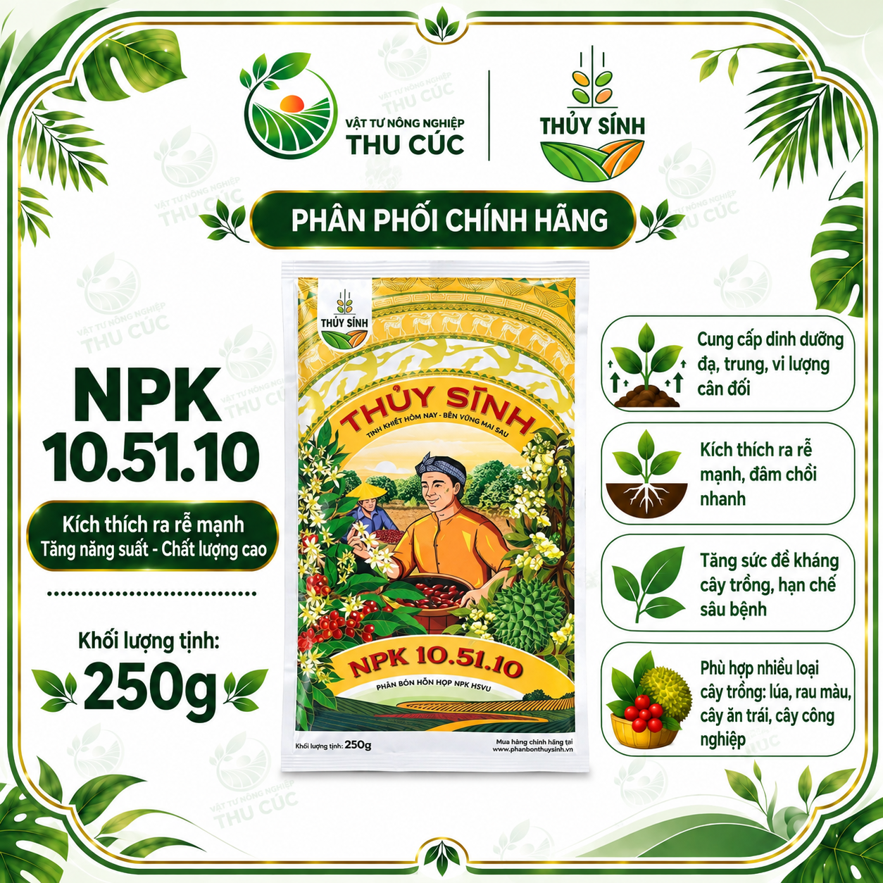THỦY SÍNH NPK 10.51.10 – LÂN CAO, HỖ TRỢ PHÂN HÓA MẦM HOA – RA HOA ĐỒNG LOẠT