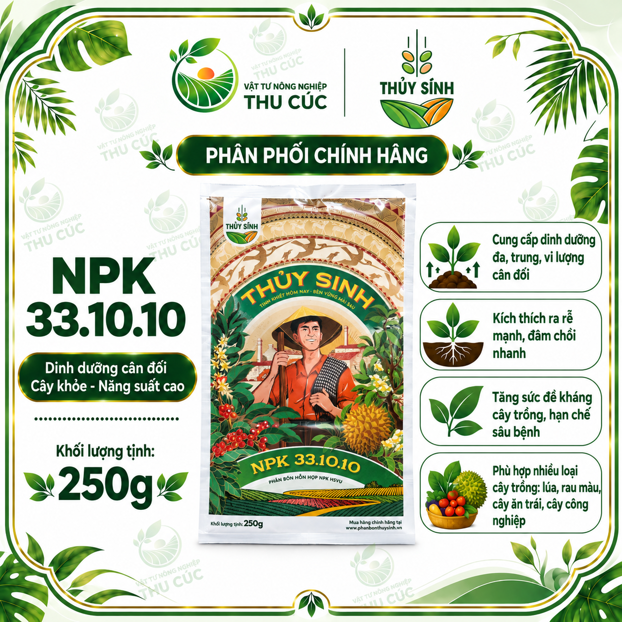 THỦY SÍNH NPK 33.10.10 – ĐẠM CAO, HỖ TRỢ BUNG ĐỌT – PHÁT TRIỂN THÂN LÁ