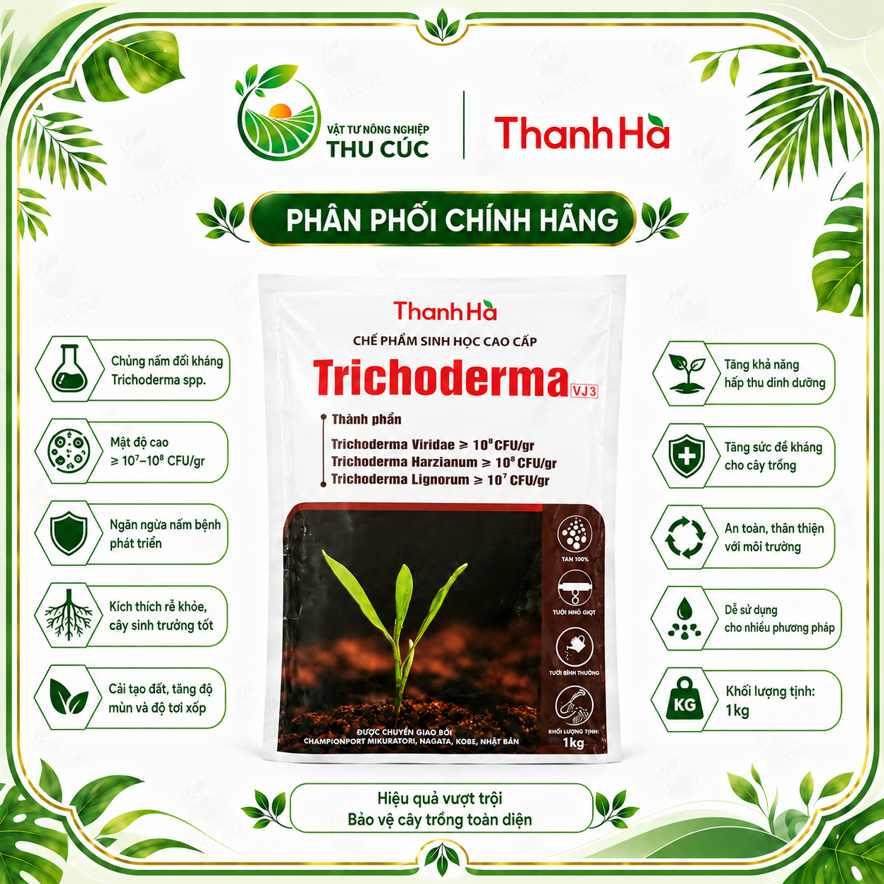 Trichoderma VJ3 Thanh Hà – Nấm 3 Chủng Cải Tạo Đất, Ủ Phân, Phân Giải Hữu Cơ