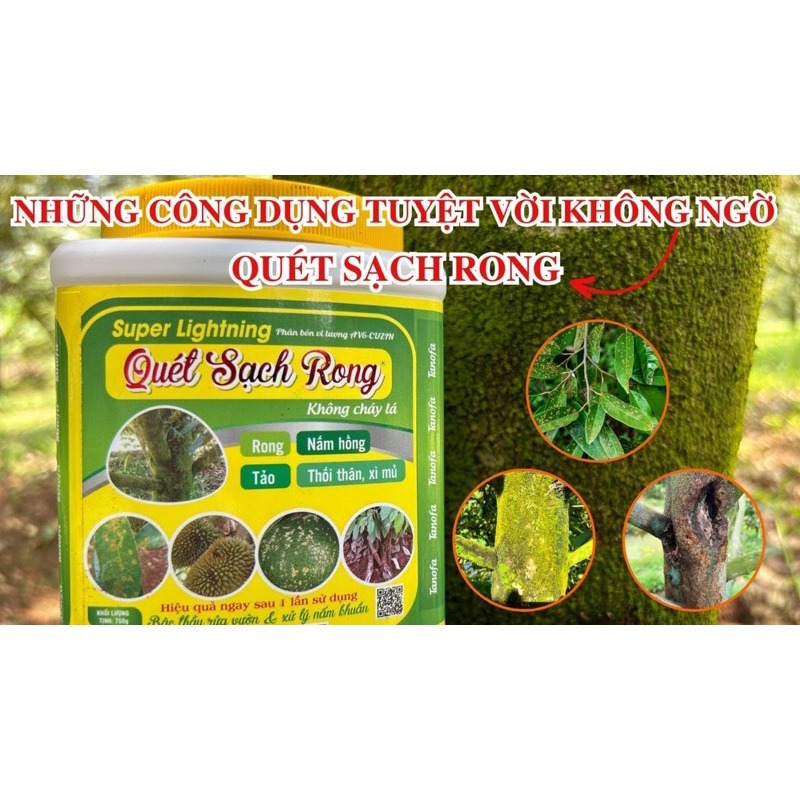 SUPER LIGHTNING “QUÉT SẠCH RONG” 3 TỐT 750G – HỖ TRỢ LÀM SẠCH RONG RÊU, HỖ TRỢ NẤM HỒNG XÌ MỦ