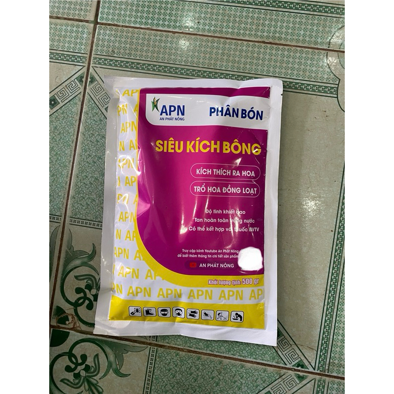 Siêu kích bông An Phát Nông, trổ hoa đồng loạt
