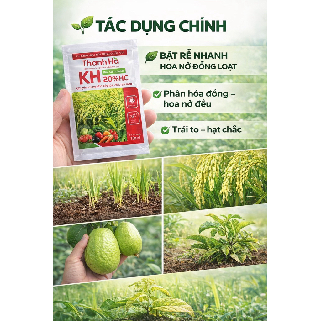 KH Thanh Hà 20% HC (10ml) – Bật rễ nhanh, kích hoa, phục hồi cây yếu