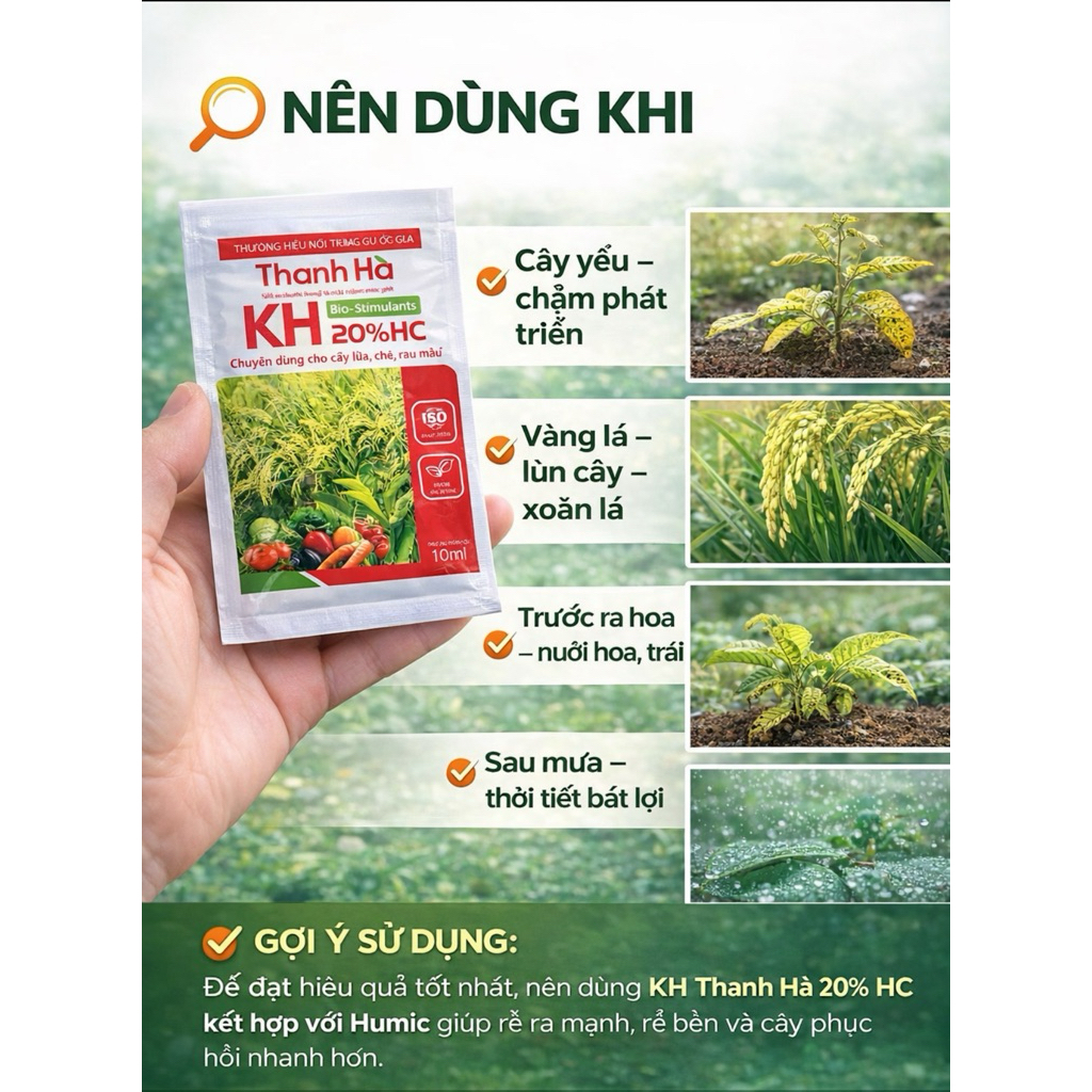 KH Thanh Hà 20% HC (10ml) – Bật rễ nhanh, kích hoa, phục hồi cây yếu