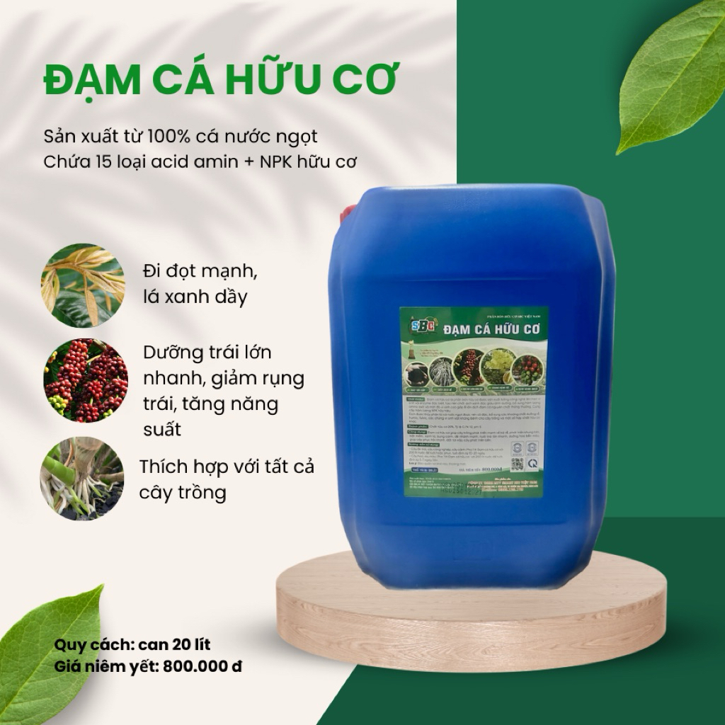 Đạm Cá Hữu Cơ SBC 20L – Kích Rễ Mạnh, Bật Mầm Nhanh, Xanh Cây, Nuôi Trái