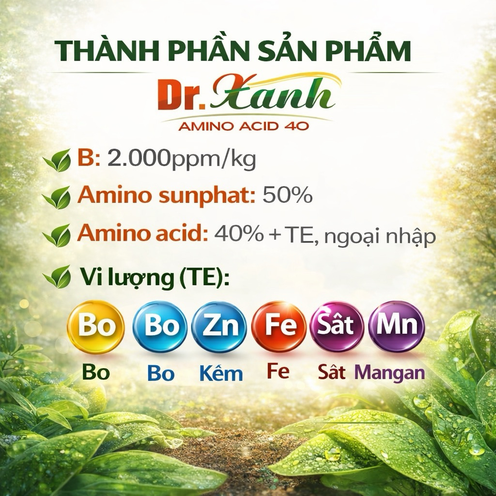 DR Xanh, Amino Acid, Xanh Cây Dày Lá, Mát Bông Cho Cây Trồng