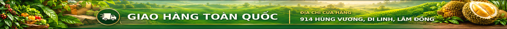 Banner header