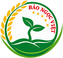 logo Công ty TNHH TM&DV Bảo Ngọc