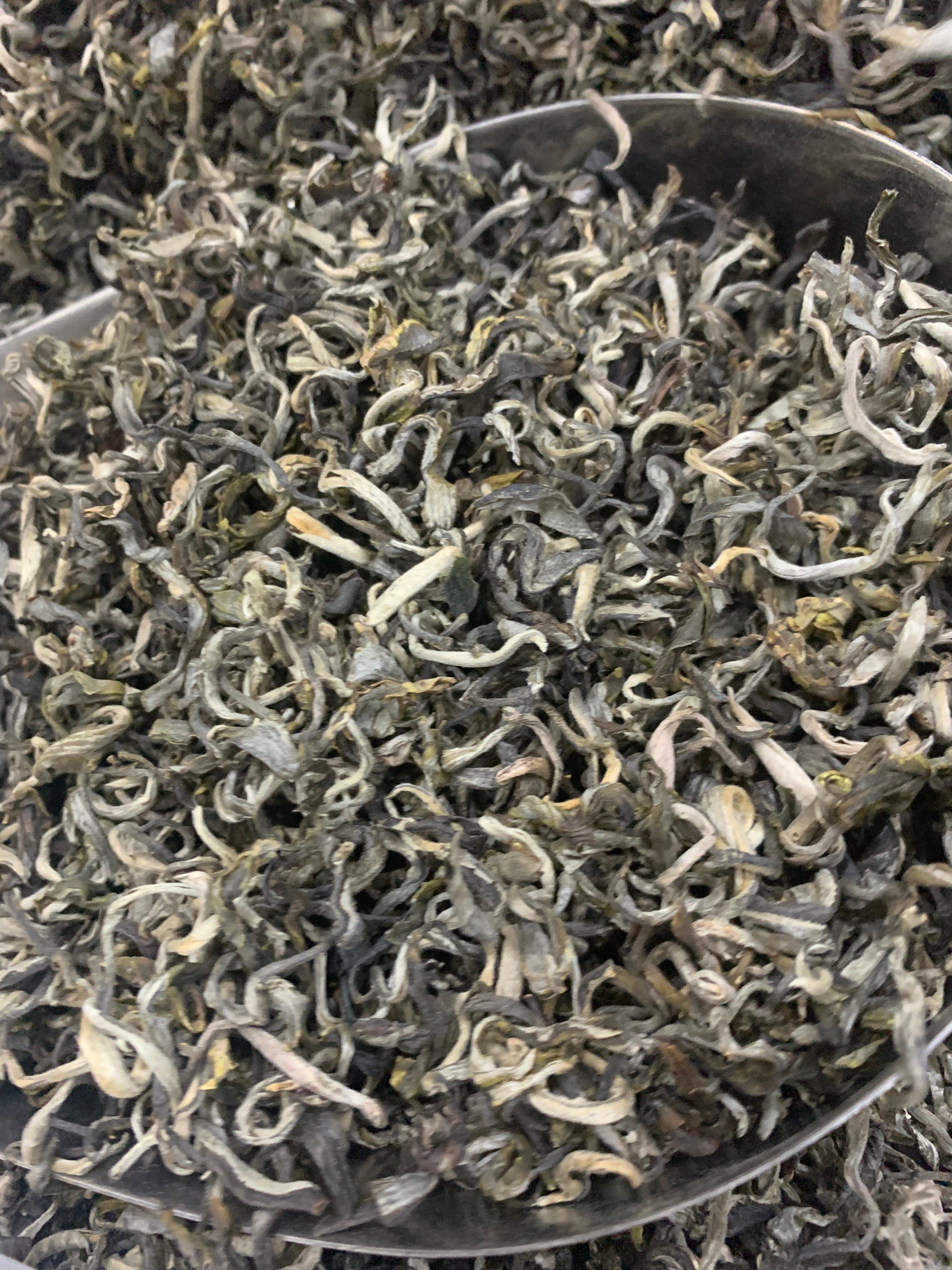 Trà Shan Tuyết hảo Hạng