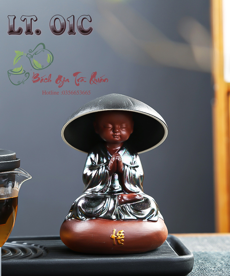 Lọc trà tiểu cảnh