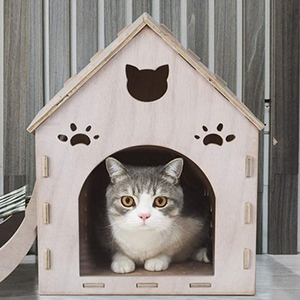 Hướng Dẫn Chọn Chuồng Mèo Phù Hợp Cho Hoàng Thượng