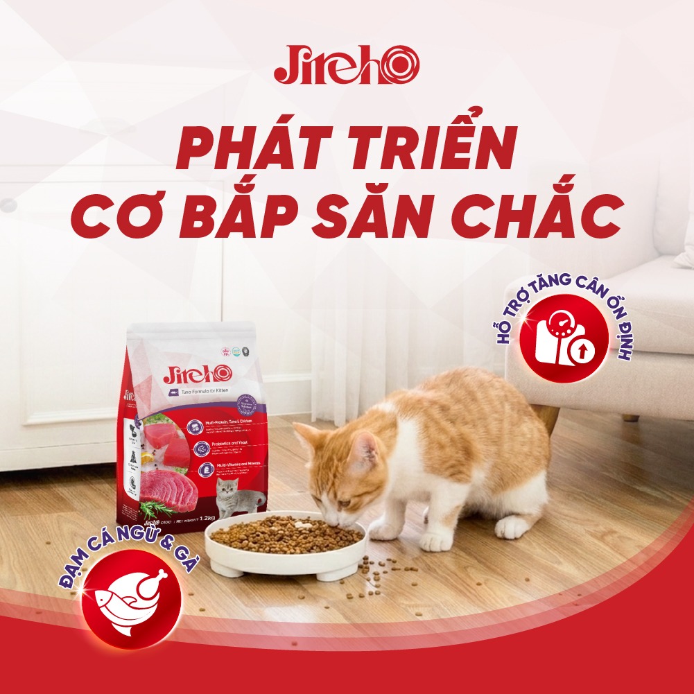 Thức ăn JirehO Cá ngừ cho mèo con